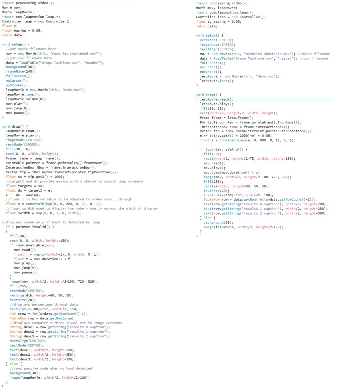 leap memories copy.jpg